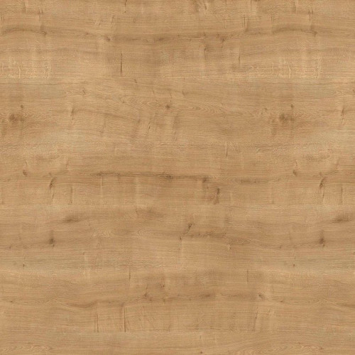 Dąb Hamilton nat. H3303/ST10