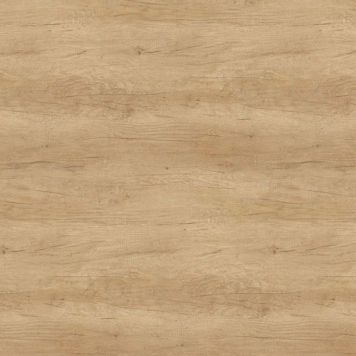 Dąb Nebraska nat. H3331/ST10