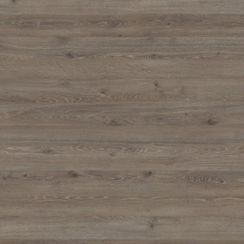 Dąb Davos truflowy H3133/ST12