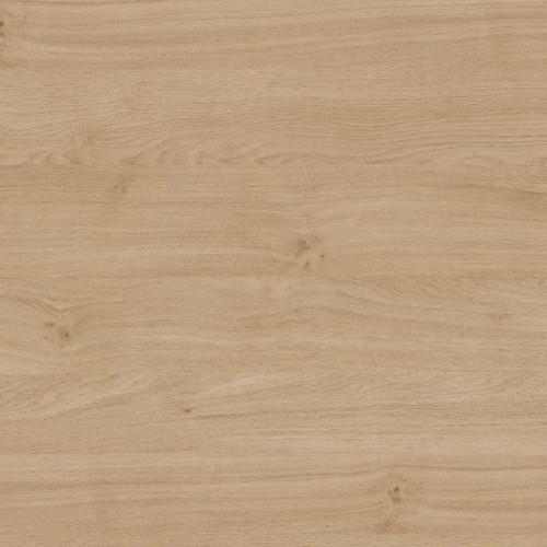 Dąb Kandal nat. H3170/ST12